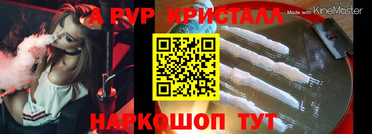 Alfa_PVP крисы CK  A PVP  Вход с VPN  Аргун  Alfa_PVP крисы CK 