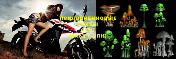 твердый Покачи