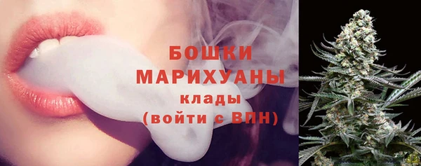 дживик Протвино