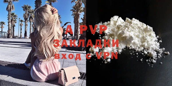 ГАЛЛЮЦИНОГЕННЫЕ ГРИБЫ Приозерск