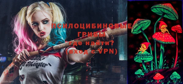 гашик Пролетарск