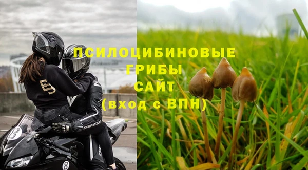 ГАЛЛЮЦИНОГЕННЫЕ ГРИБЫ Приозерск