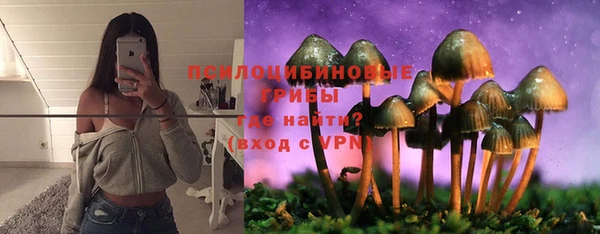 ГАЛЛЮЦИНОГЕННЫЕ ГРИБЫ Приозерск