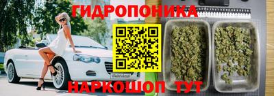 spice Апрелевка