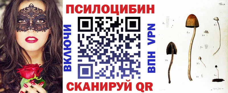 дарк нет наркотические препараты хочу Аргун Галлюциногенные грибы ЛСД