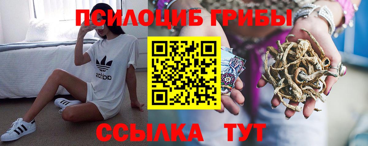 Псилоцибиновые грибы Psilocybe  Галлюциногенные грибы Cubensis  наркота  Вход с VPN  Аргун 