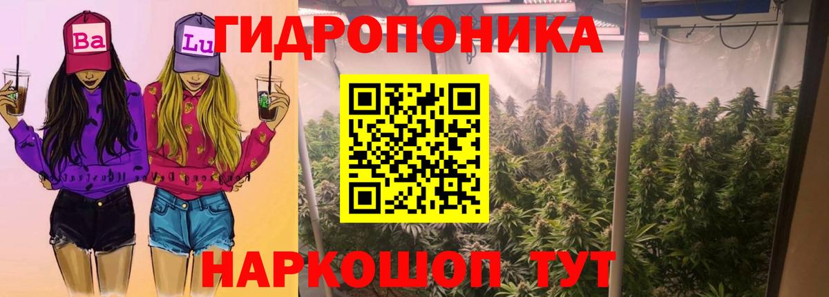 Бошки Шишки марихуана Аргун